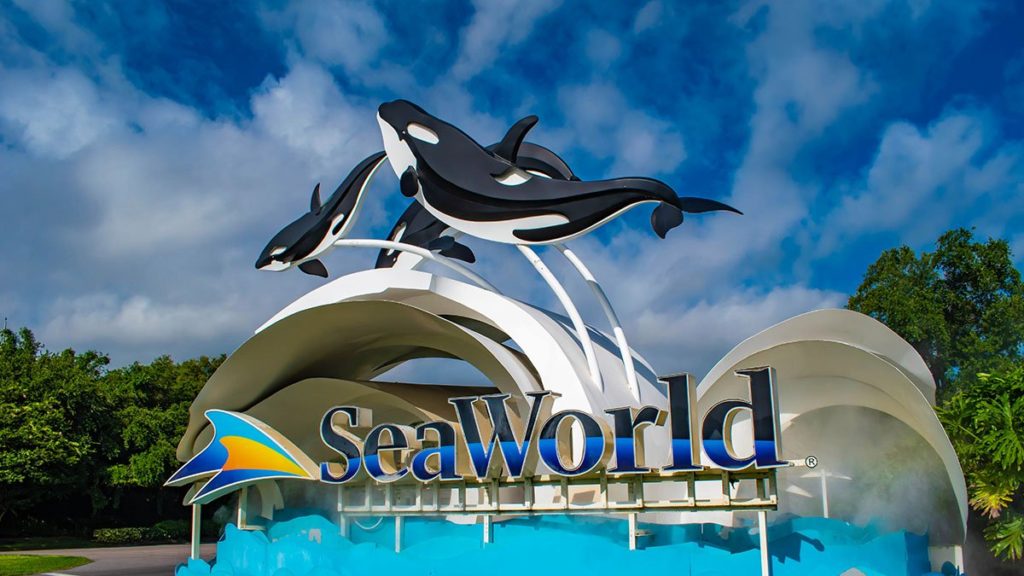 6YearOld Orca Dies at SeaWorld San Diego NBC San Diego SDX